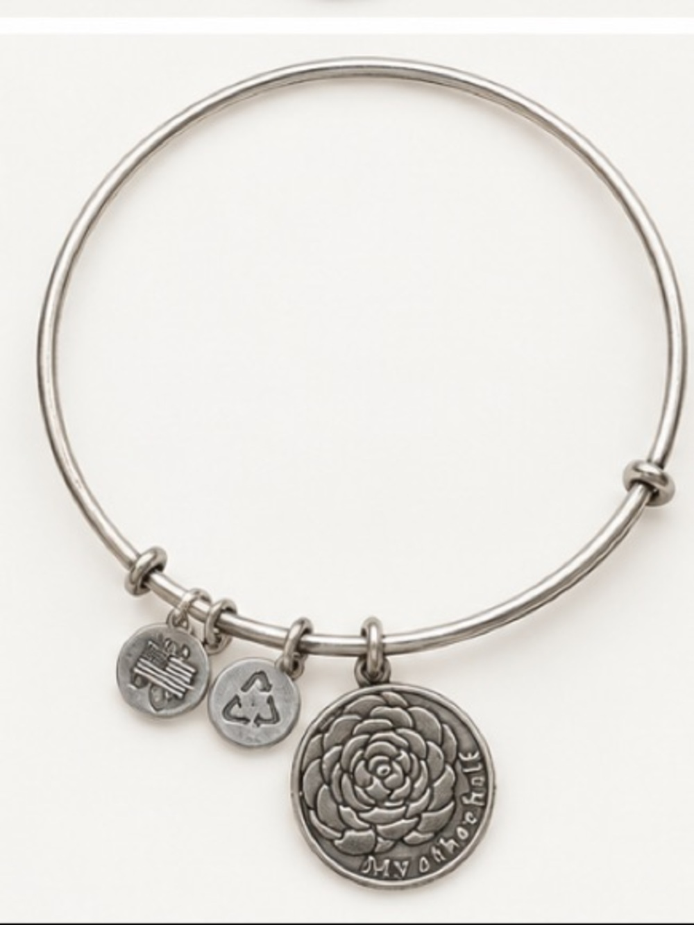 Alex and Ani Silver My Other Half Expandable Bangle Bracelet